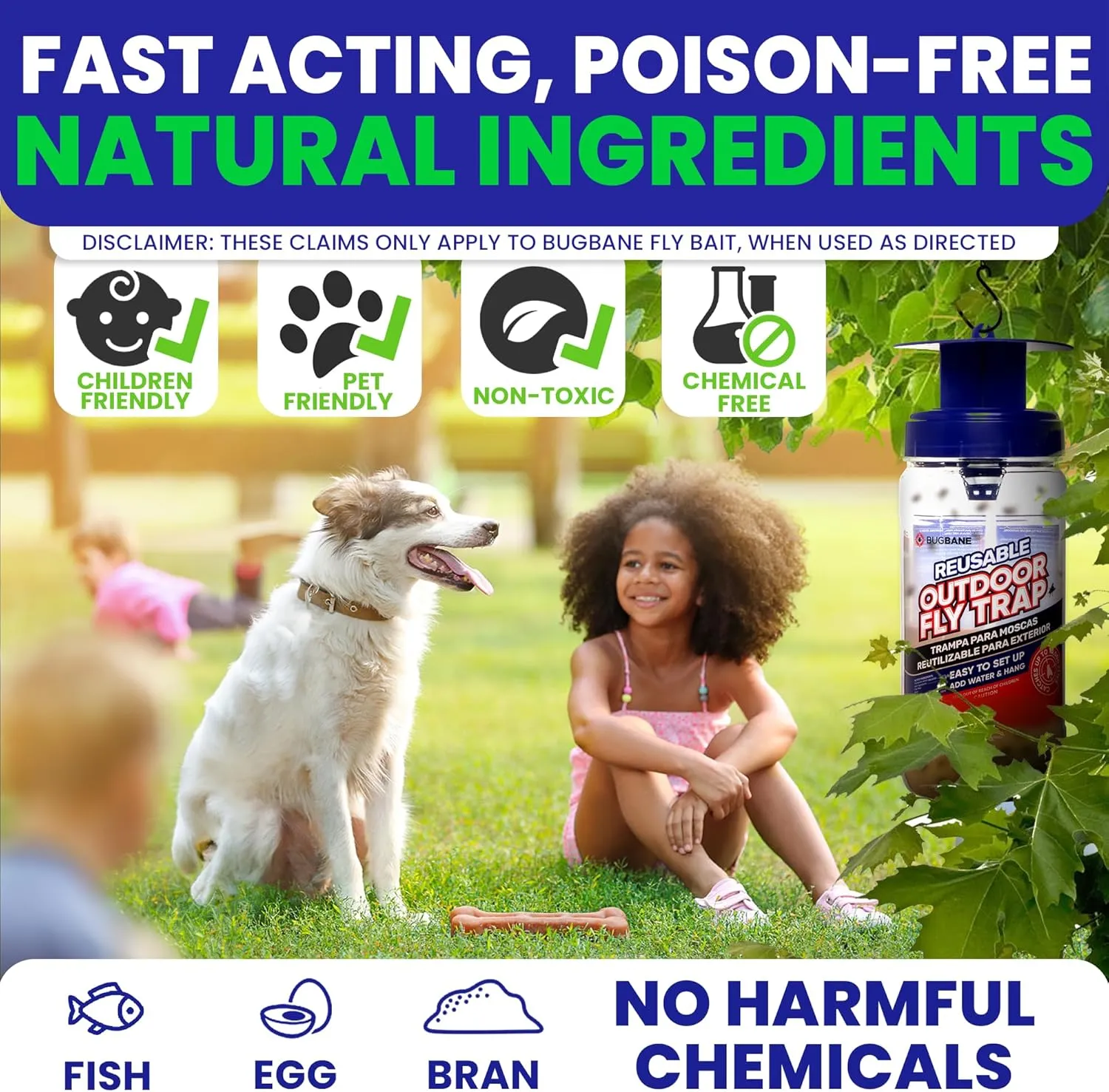 3 Fly Traps Outdoor Fly Trap for Patio with 6 Non-Toxic Dissolvable Bait Refills. Reusable Hanging Bug Catcher Killer for All Filth Flies for Outside Bug Control Yard Ranch. Hanging Chains Included