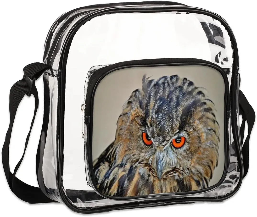 Clear Crossbody Bag Stadium Approved for Women and Men Transparent Messenger Shoulder Bag Clear Purse Bag