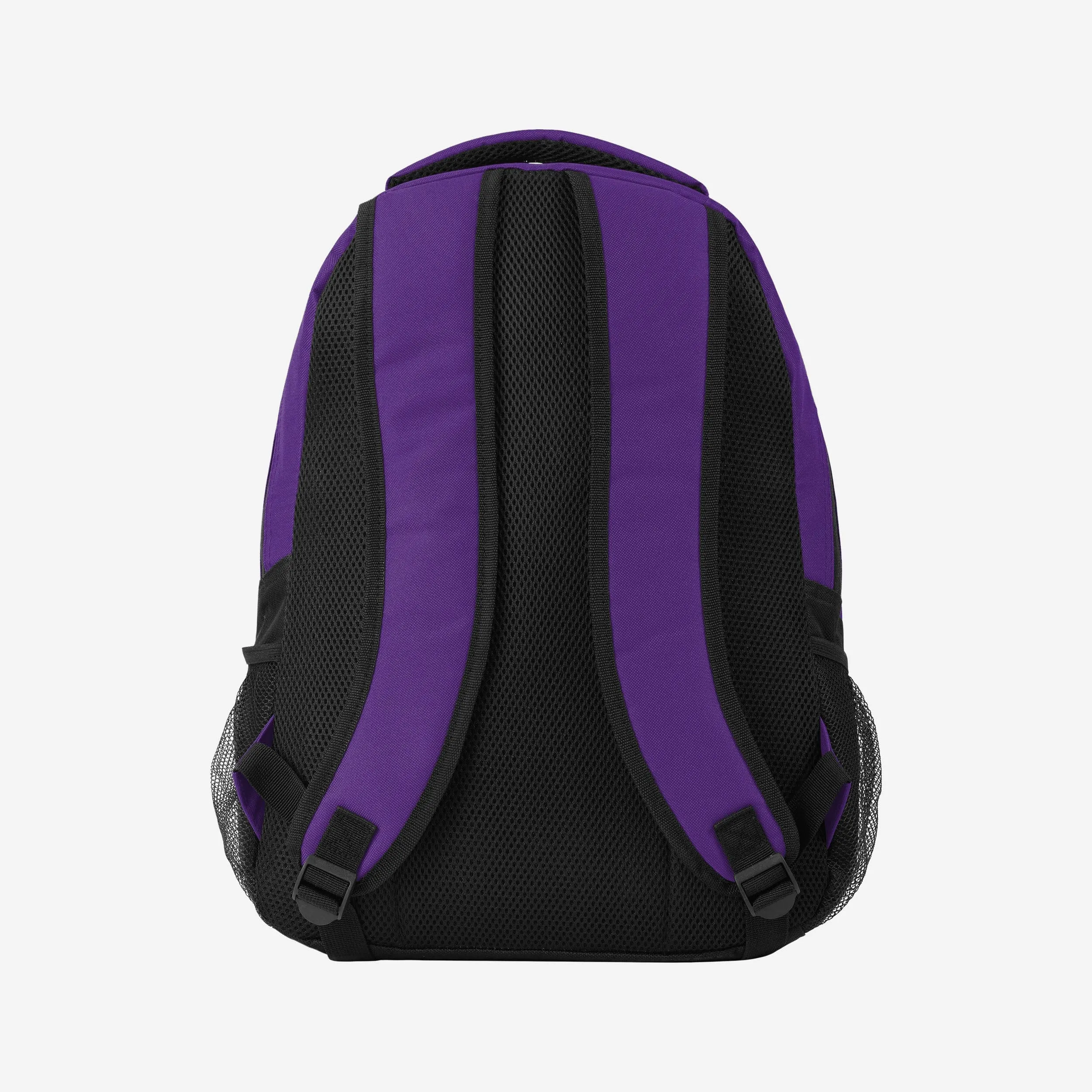 Minnesota Vikings Colorblock Action Backpack